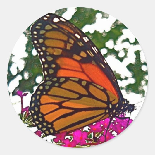 Butterfly-Aufkleber Runder Aufkleber (Vorderseite)