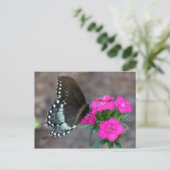 Butterfly Beauty Postkarte (Stehend Vorderseite)