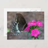 Butterfly Beauty Postkarte (Vorne/Hinten)