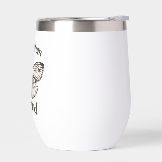 Butterfly BFTG (Links)