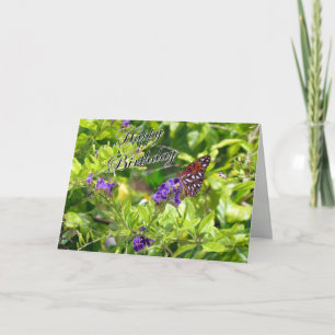 Butterfly Birthday Card - Gulf Fritillary Karte