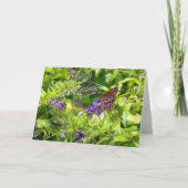 Butterfly Birthday Card - Gulf Fritillary Karte (Vorderseite)