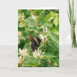 Butterfly Birthday Karte