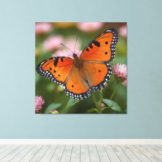 Butterfly Bloom Leinwanddruck (Insitu (Holzboden))