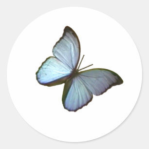 Butterfly Blue 45 deg Freiburg Deutschland Gibney Runder Aufkleber