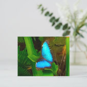 Butterfly Blue Nah hoch Postkarte (Stehend Vorderseite)