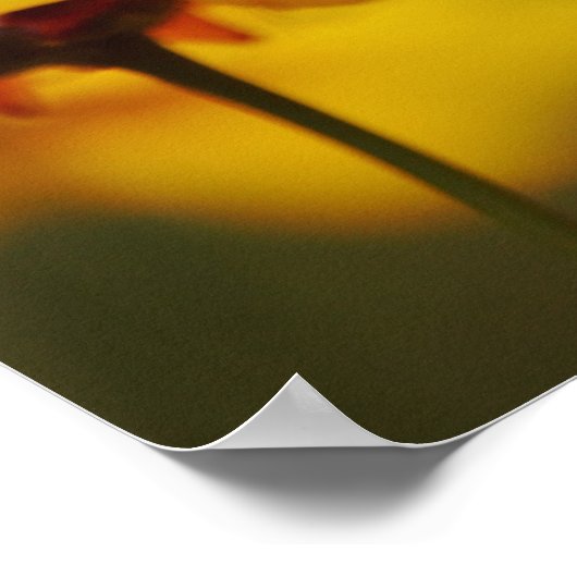 Butterfly Blume Bible Scripting Poster (Ecke)