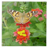 Butterfly-Blume Fliese (Vorderseite)