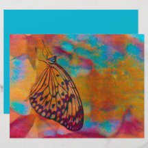 Butterfly Bohemisch Blue Orange Hippie Decoupage