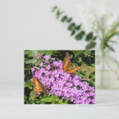 Butterfly Buddies ~ Postcard Postkarte (Stehend Vorderseite)