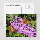Butterfly Buddies ~ Postcard Postkarte (Vorne/Hinten)