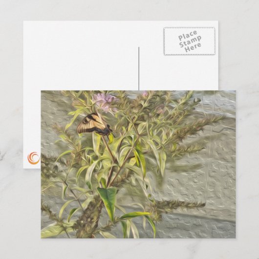 Butterfly Bush 1 Postkarte (Vorne/Hinten)