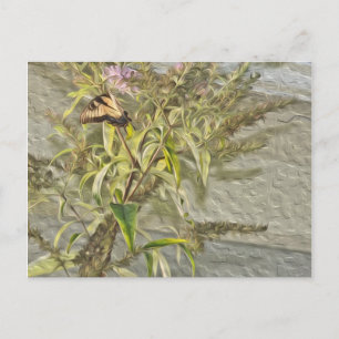 Butterfly Bush 1 Postkarte