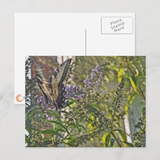 Butterfly Bush 2 Postkarte (Vorne/Hinten)
