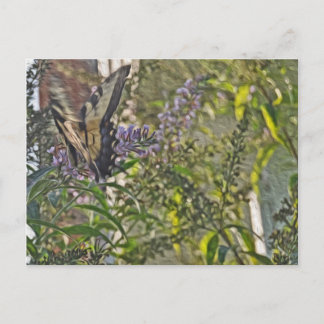 Butterfly Bush 2 Postkarte