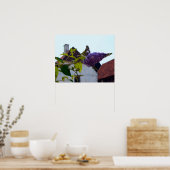 Butterfly Bush, Old Danish Town, Aarhus, Dänemark Poster (Küche)