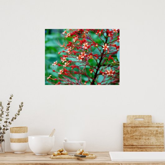 Butterfly Bush Poster (Küche)