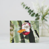 Butterfly Butterflies Cactus Postkarte (Stehend Vorderseite)