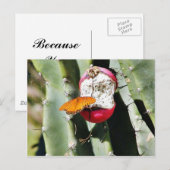 Butterfly Butterflies Cactus Postkarte (Vorne/Hinten)