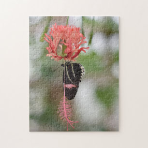 Butterfly Butterflies Naturfotografie Garten Puzzle