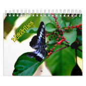 Butterfly Calendar Kalender (Titelbild)