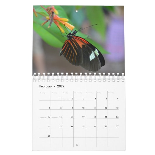Butterfly Calendar Kalender (Feb 2027)