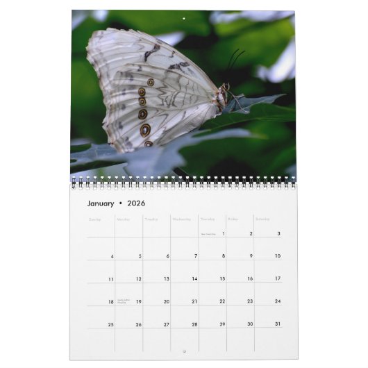 Butterfly Calendar Kalender (Jan 2026)