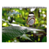 Butterfly Calendar Kalender (Titelbild)