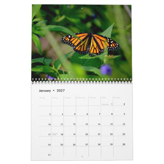 Butterfly Calendar Kalender (Jan 2027)