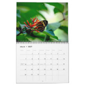 Butterfly Calendar Kalender (Mär 2027)