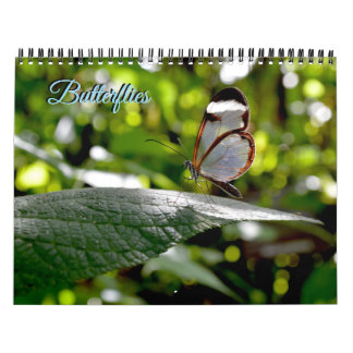 Butterfly Calendar Kalender