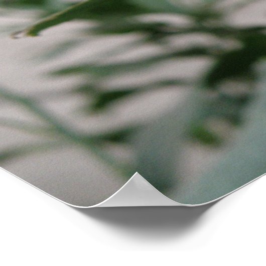 Butterfly Camouflage Print Poster (Ecke)