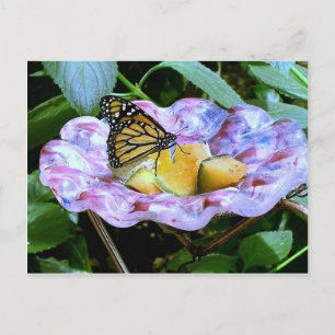 Butterfly-Cartoon Postkarte