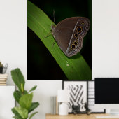 Butterfly Closeup Foto Poster (Heimbüro)