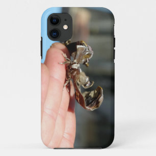 Butterfly Cocoon Foto iPhone SE + iPhone 5/5S Case-Mate iPhone Hülle