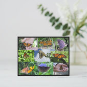 Butterfly Collage Postcard Postkarte (Stehend Vorderseite)