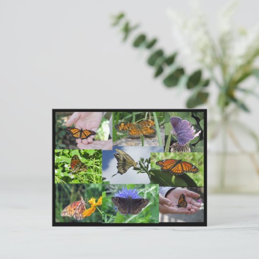 Butterfly Collage Postcard Postkarte (Stehend Vorderseite)