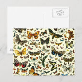 Butterfly Collage Postkarte (Vorne/Hinten)