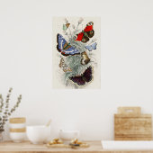 Butterfly Collection Antike farbenfrohe Schmetterl Poster (Küche)