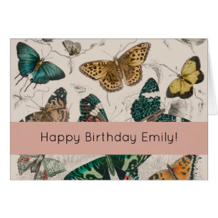 Butterfly Collection Antike Schmetterlinge