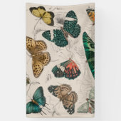 Butterfly Collection Antike Schmetterlinge Banner (Vertikal)