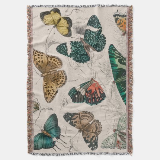 Butterfly Collection Antike Schmetterlinge Decke (Vorderseite Vertikal)