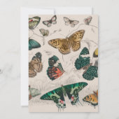Butterfly Collection Antike Schmetterlinge Einladung (Rückseite)