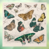 Butterfly Collection Antike Schmetterlinge Fensteraufkleber (Blatt 3)