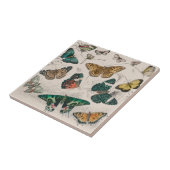 Butterfly Collection Antike Schmetterlinge Fliese (Seite)