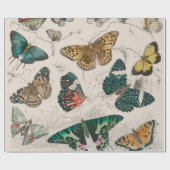 Butterfly Collection Antike Schmetterlinge Geschenkpapier (Flach)