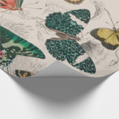 Butterfly Collection Antike Schmetterlinge Geschenkpapier (Ecke)
