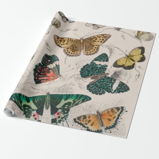 Butterfly Collection Antike Schmetterlinge Geschenkpapier (Ungerollt)