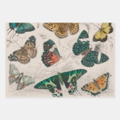Butterfly Collection Antike Schmetterlinge Geschenkpapier Set (Vorderseite 3)
