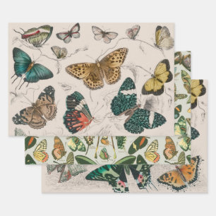 Butterfly Collection Antike Schmetterlinge Geschenkpapier Set